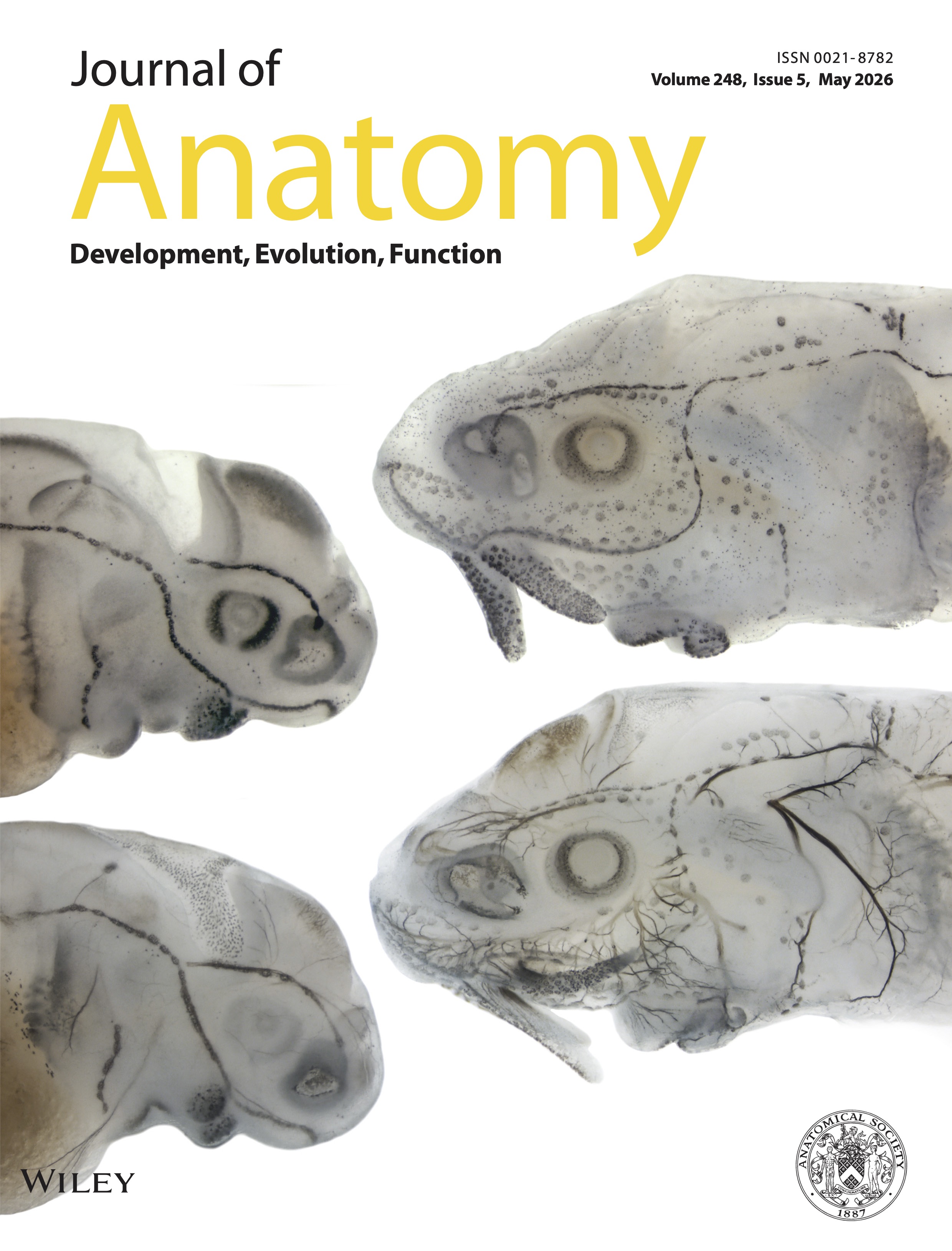 Journal of Anatomy, May 2026